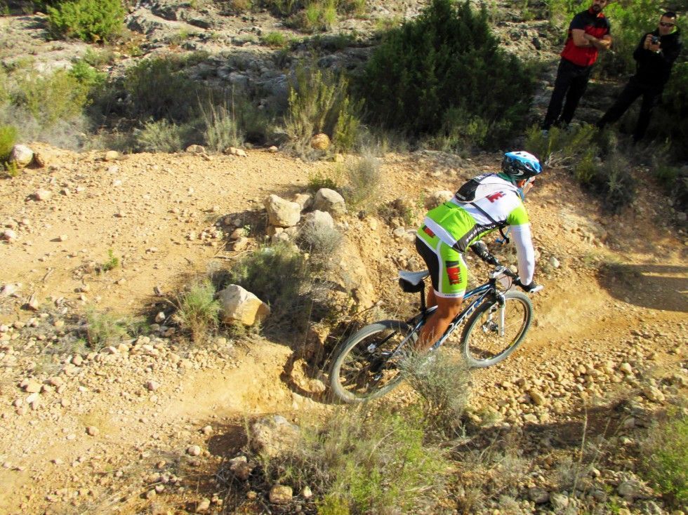 btt 7