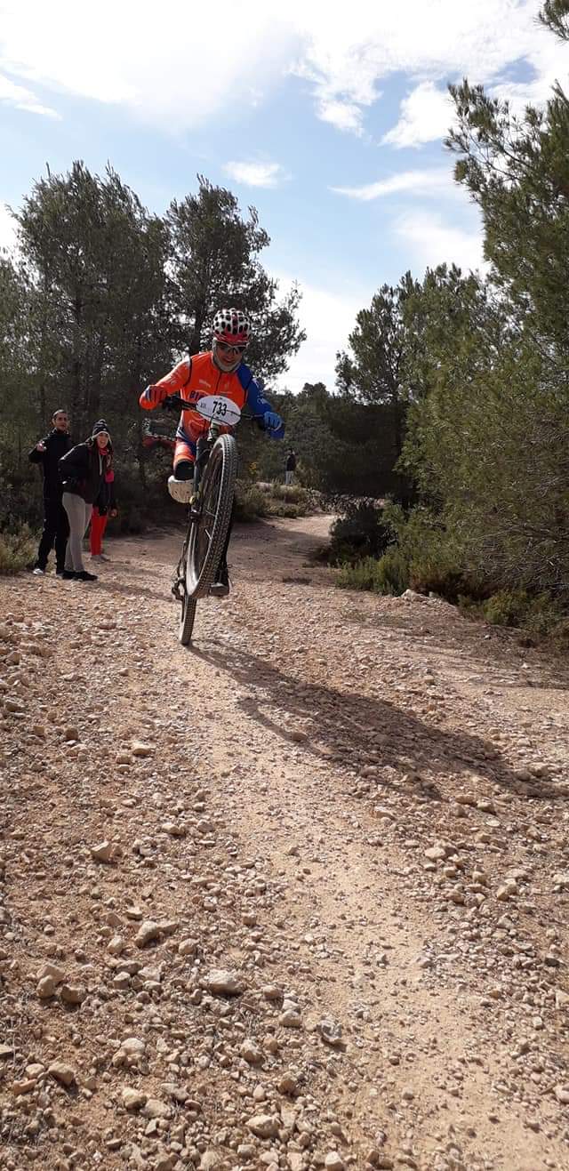 btt febrero 2019