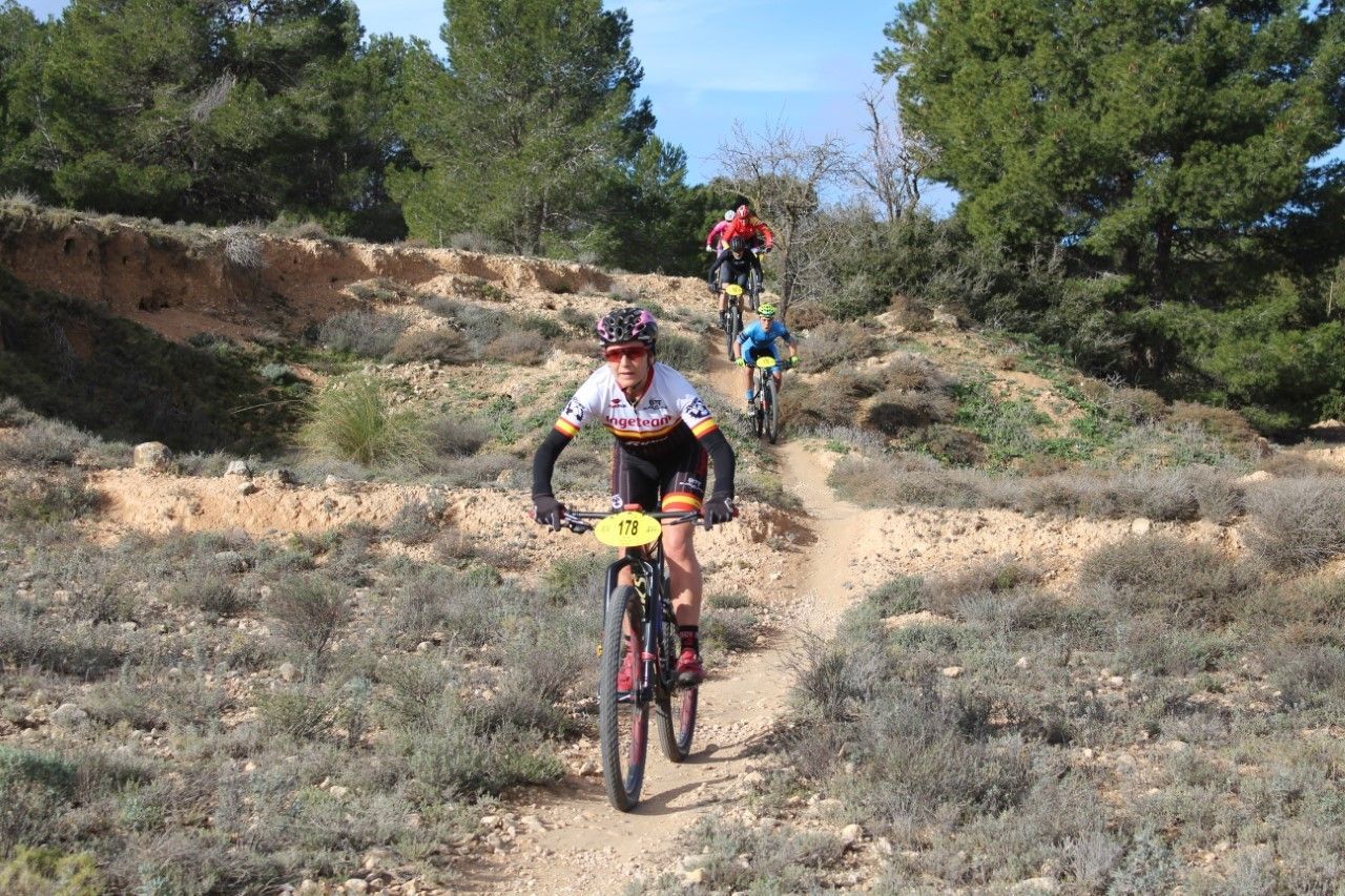 btt febrero 3
