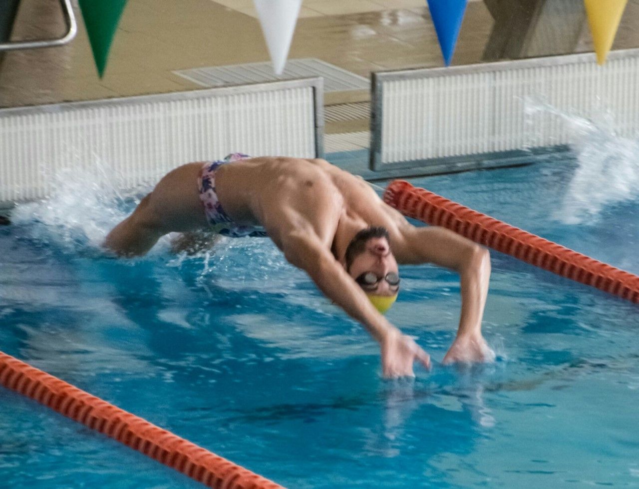 natación 2017