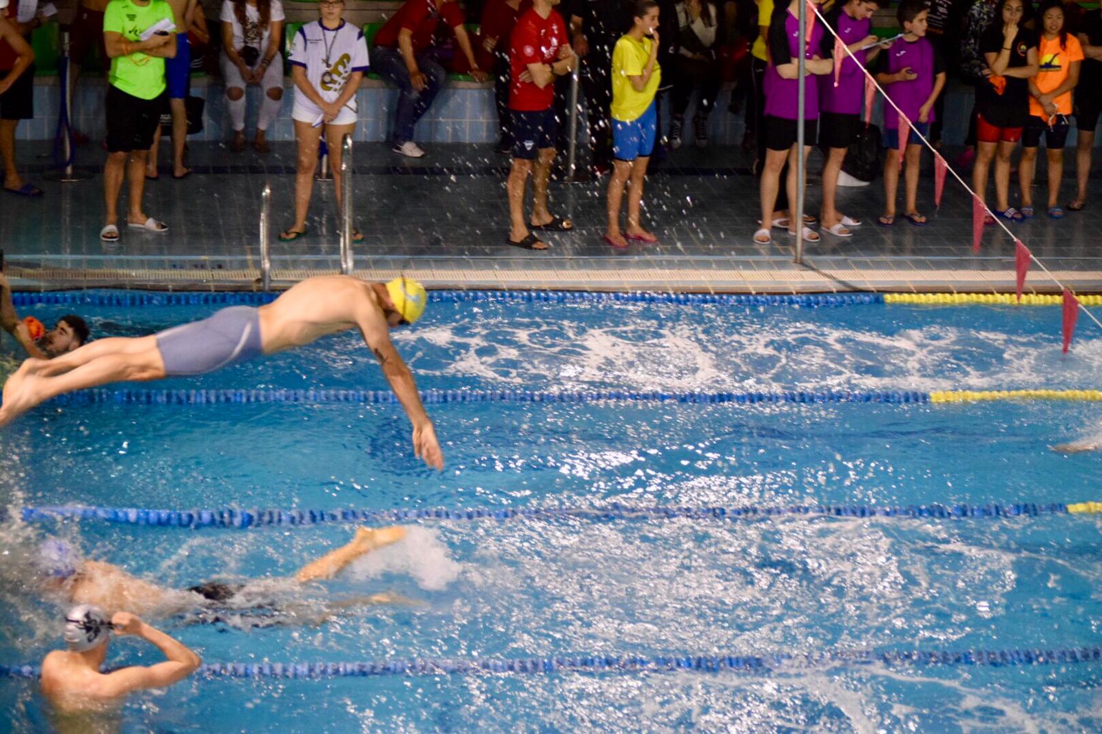 natación 2019 4