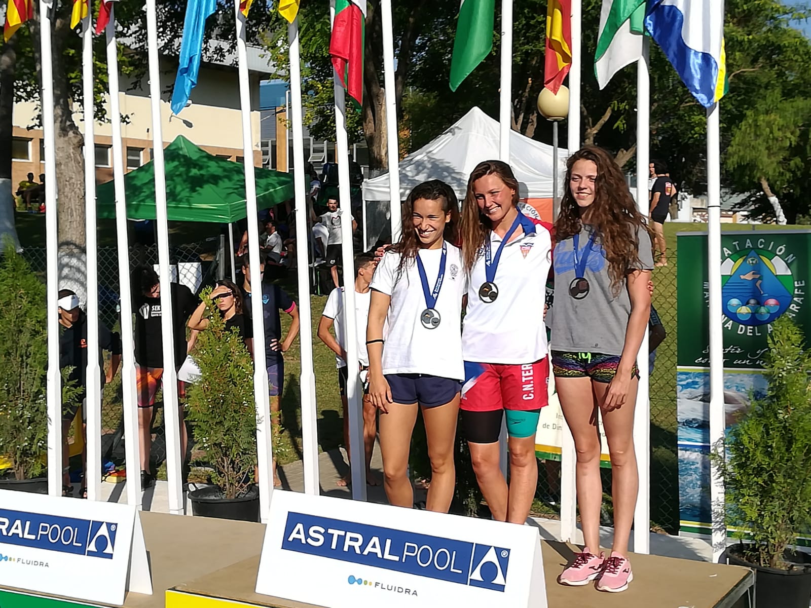 nerea bronce