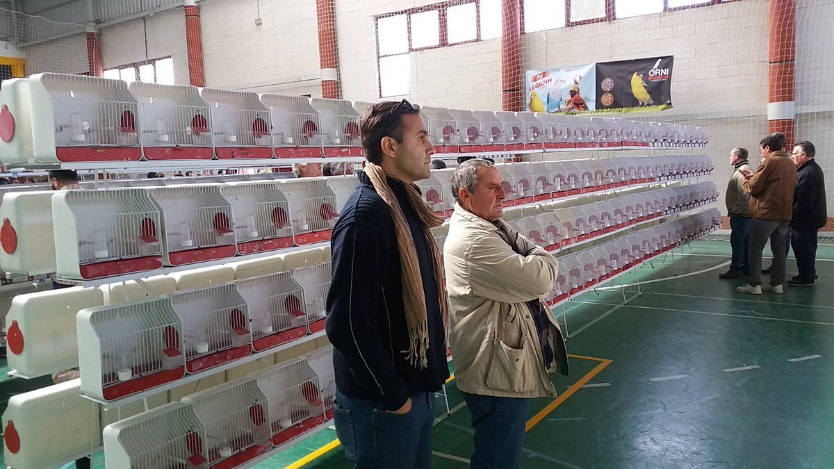 pajaros 2018
