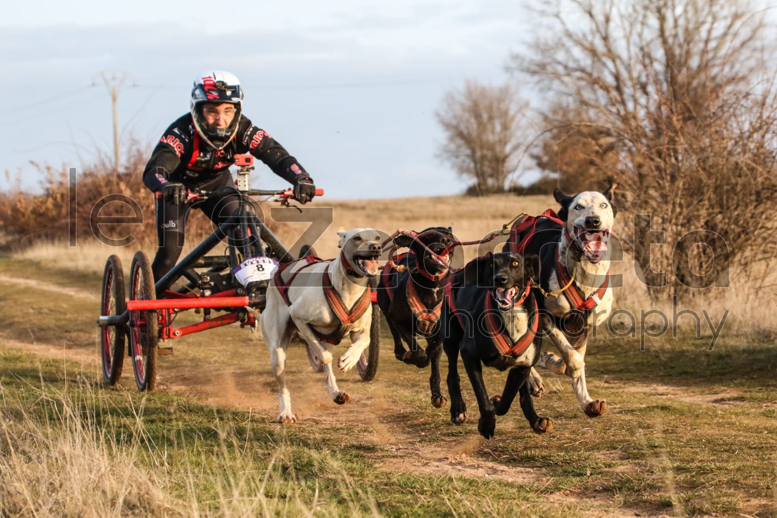 tomas ruiz marzo 2022