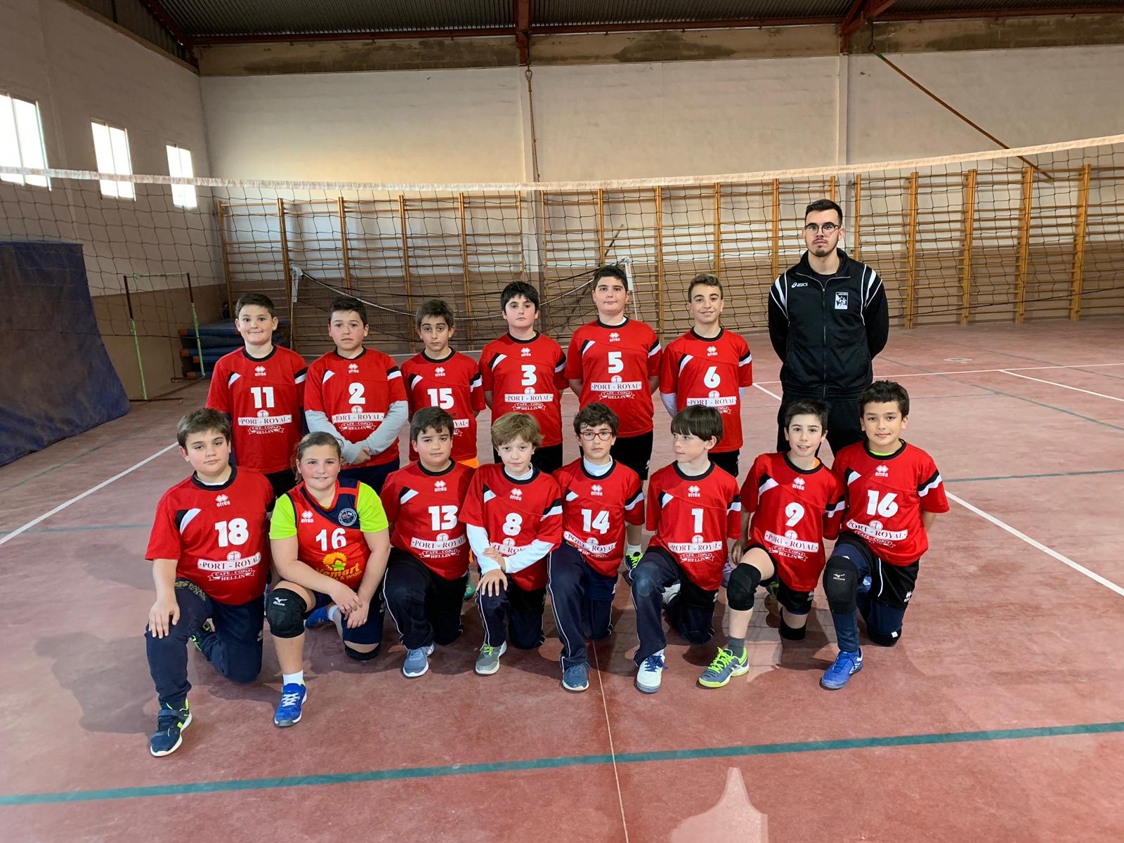 voleibol alevín febrero 2019