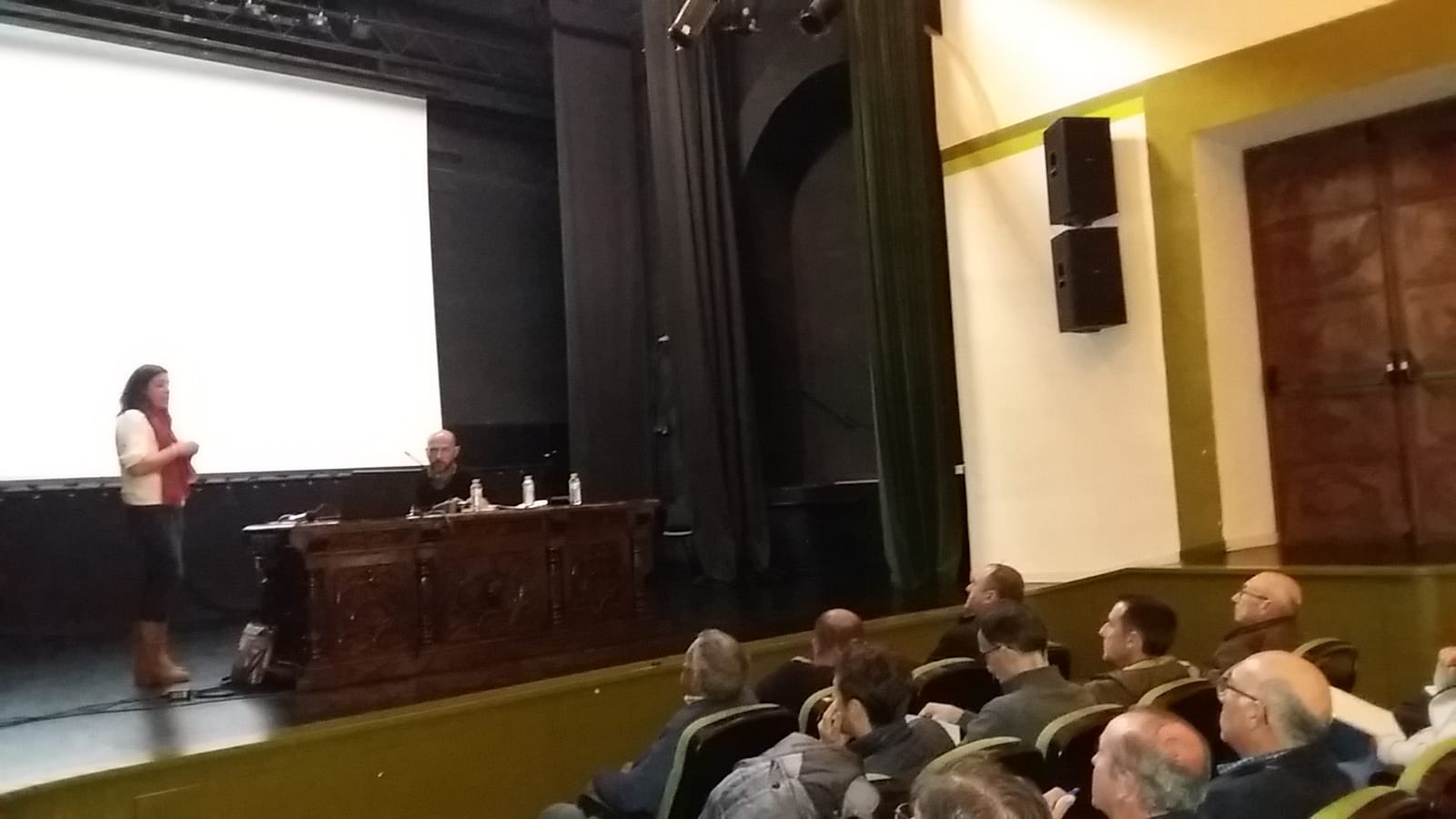 avispilla 2019