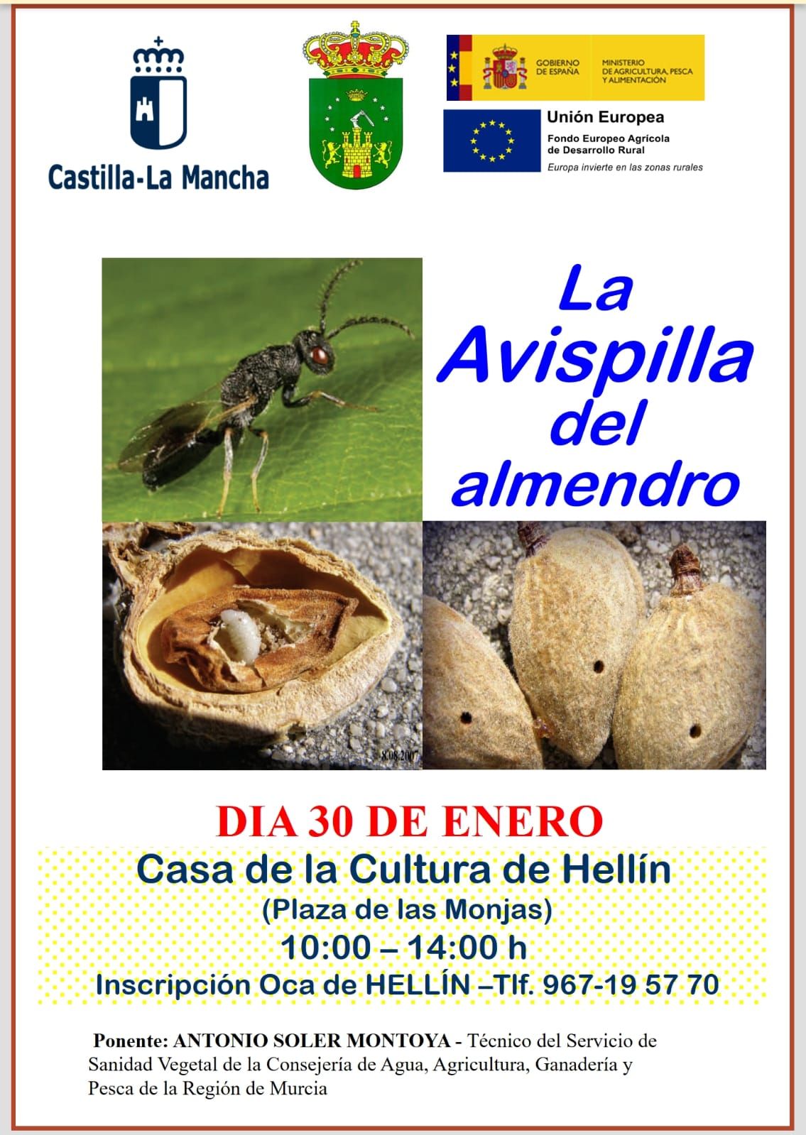 avispilla enero 2019