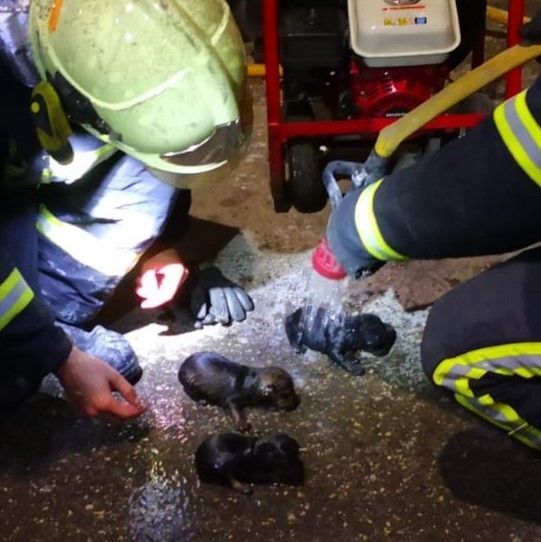 bomberos julio 2020