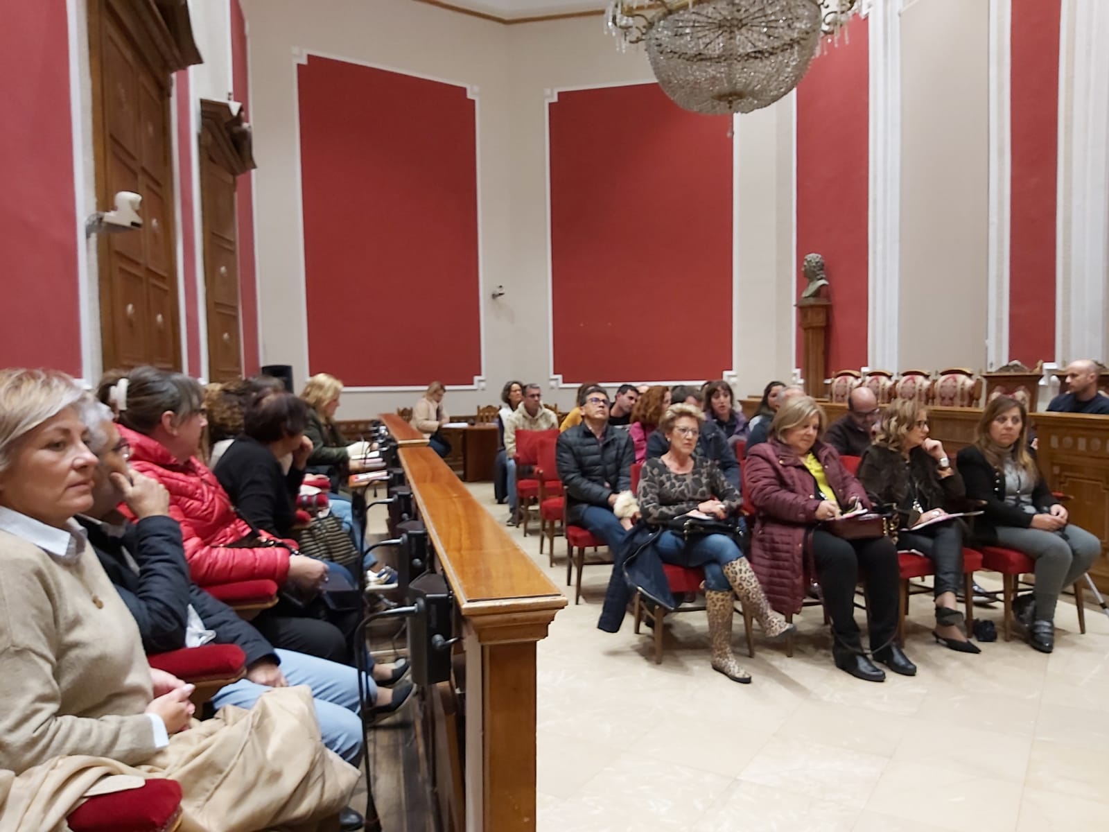 consejo partci 2019