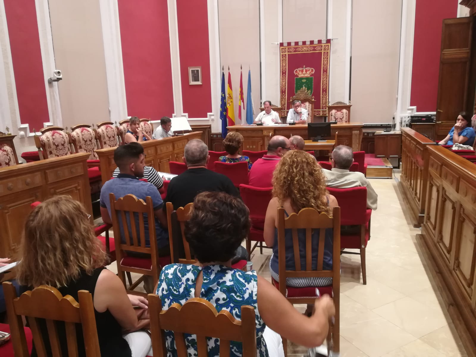 consejo participación ciudadana