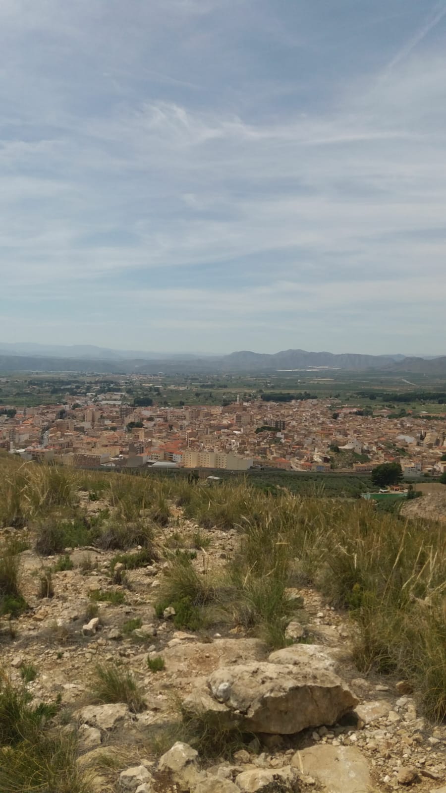 cuco 2019