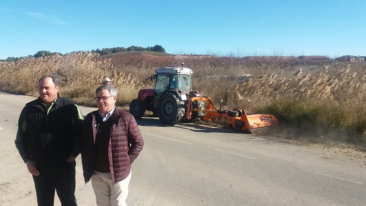 desbrozadora 2019