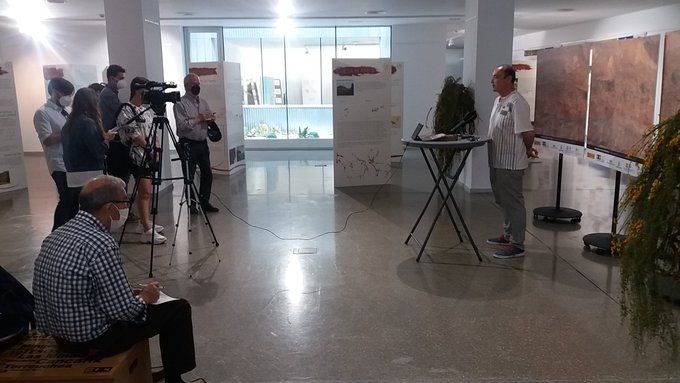 digitalizacion mayo 2021