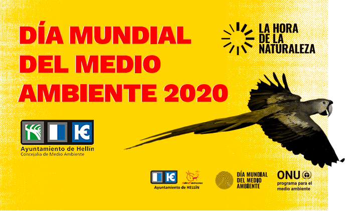 día mundial del medio ambiente 2020
