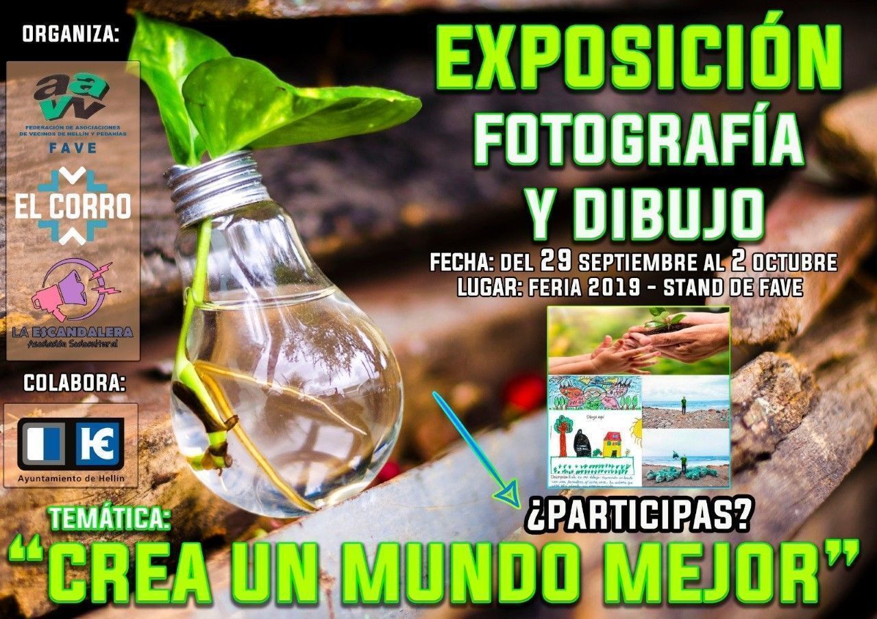 fve concurso agosto 2019