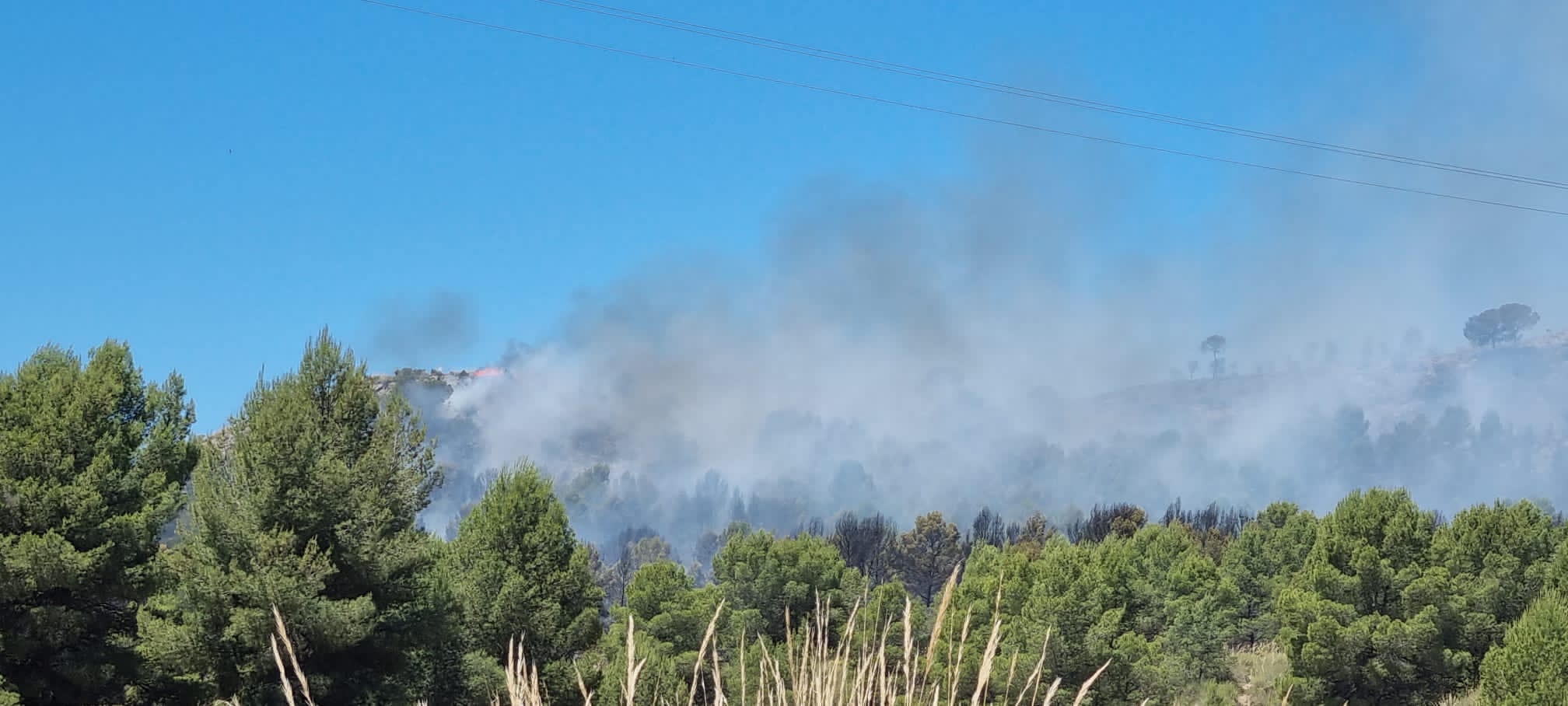 incendio junio 2022 agra