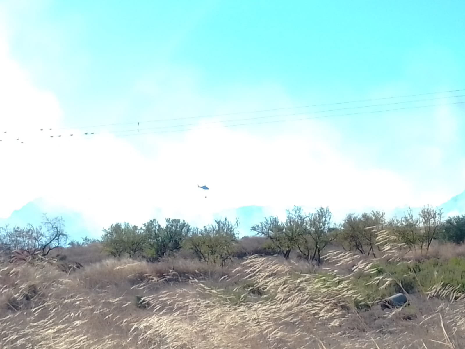 incendio tedelche oct 2020