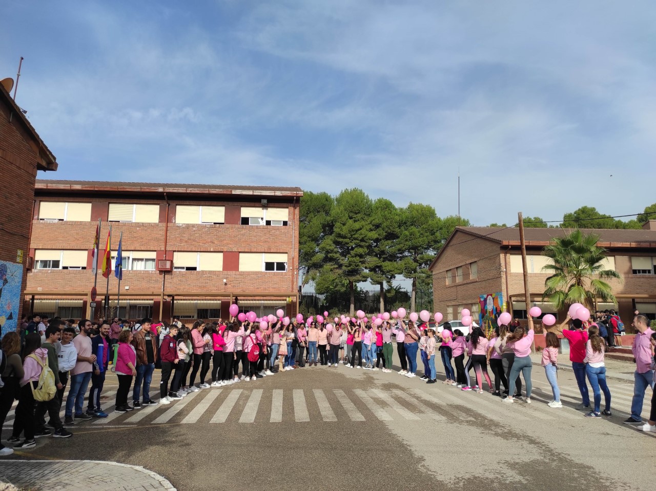 justo millán oct 2022 lazo rosa