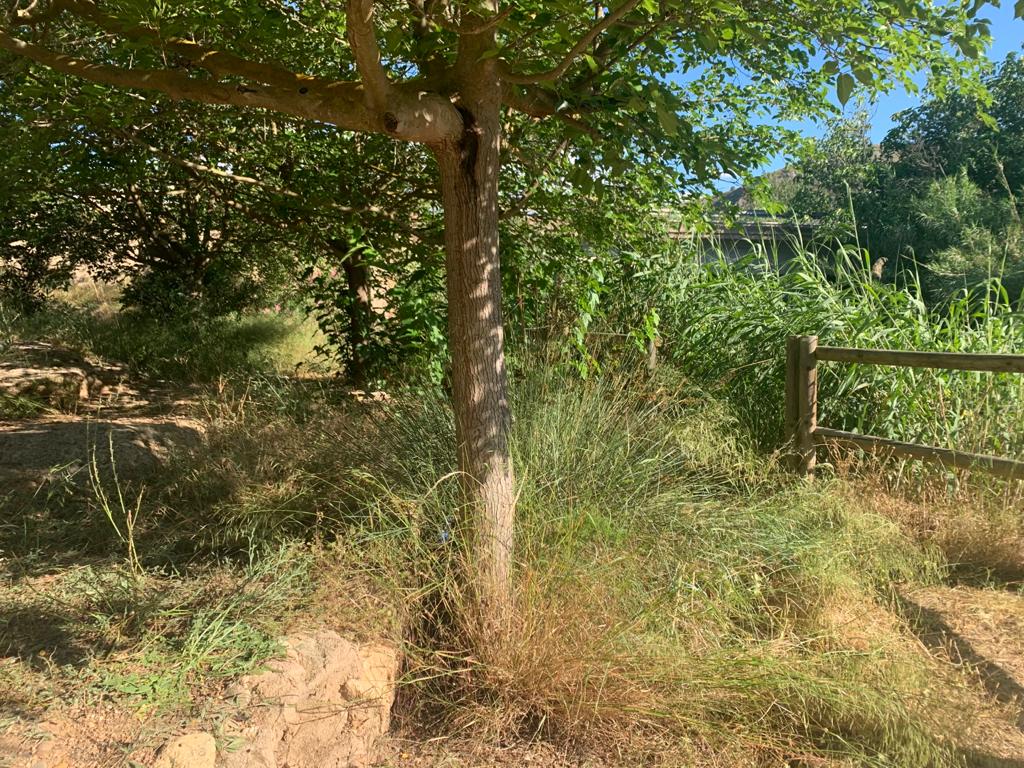 paraje natural junio 2020