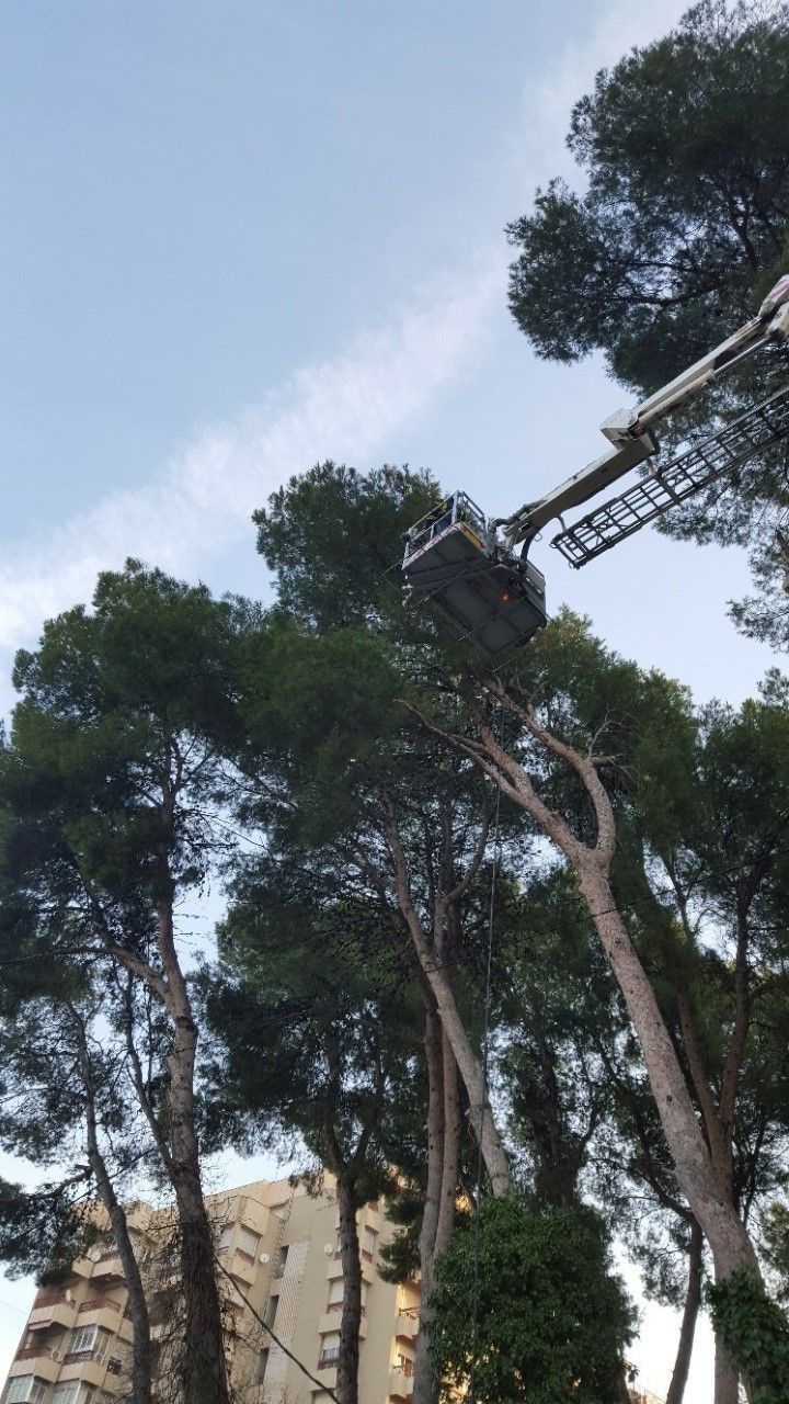 parque enero 2021