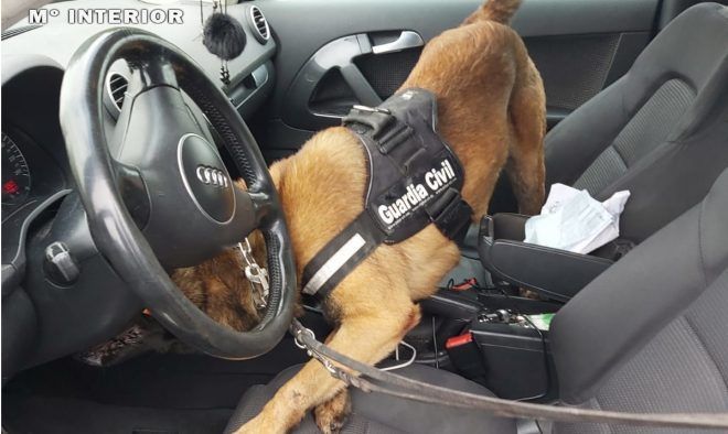 perro guardia civil 660x394