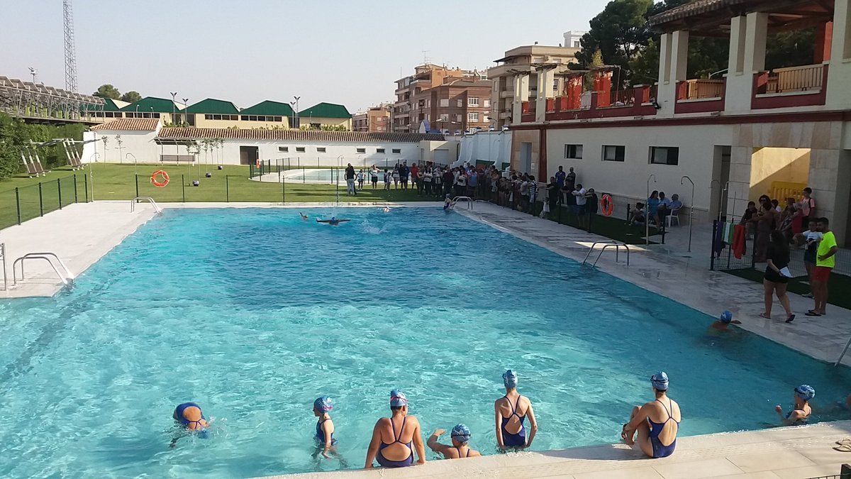 pisicna municipal julio 2019