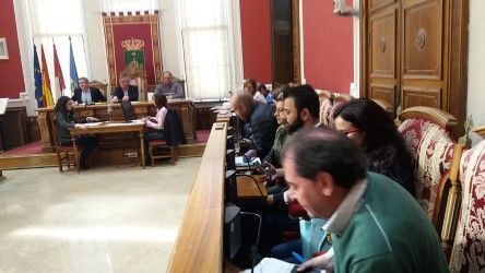 pleno febrero 2019 1