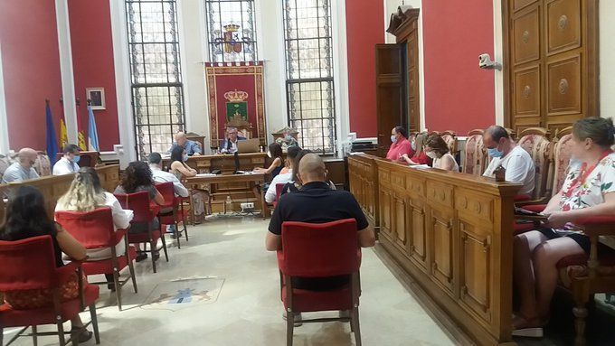 pleno junio 2020 1