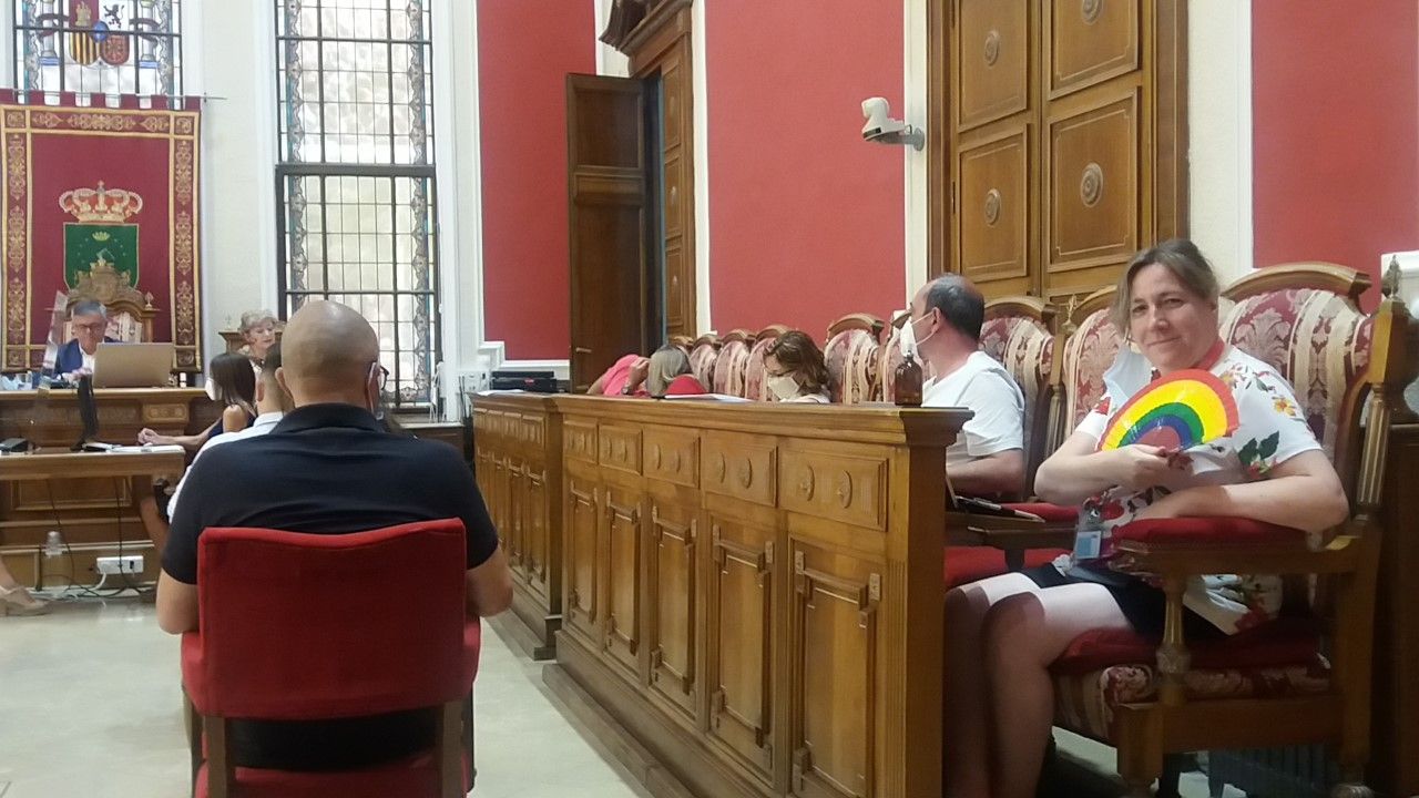pleno junio 2020 2