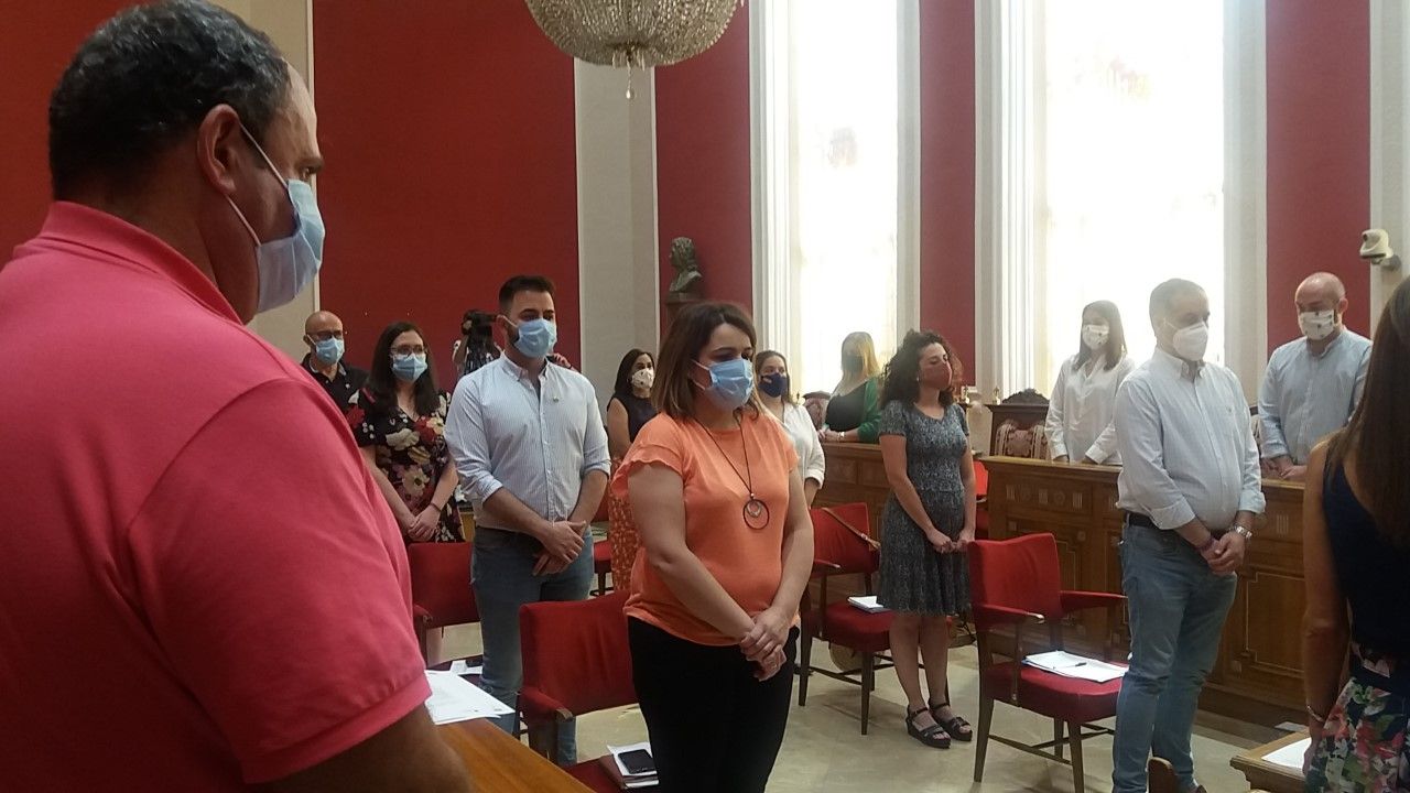 pleno junio 2020 4