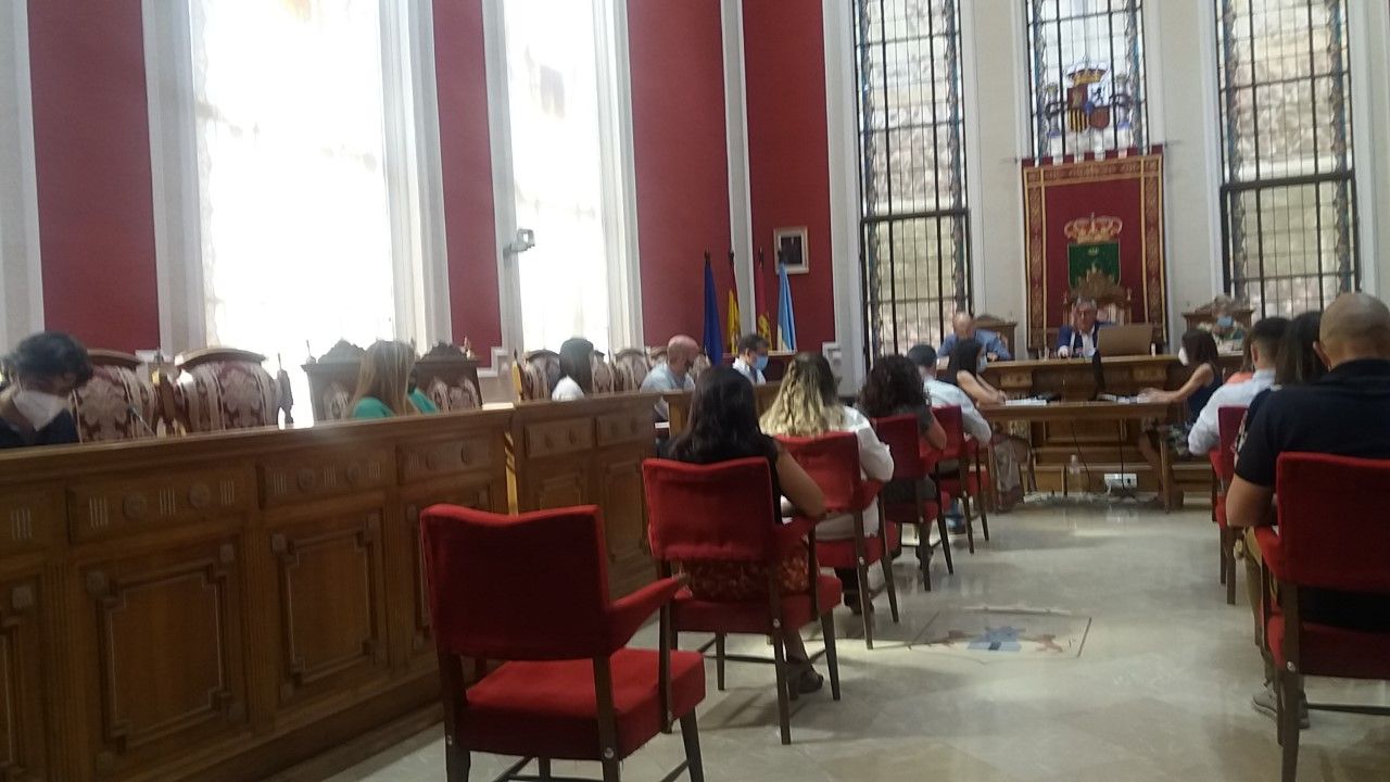 pleno junio 2020 6