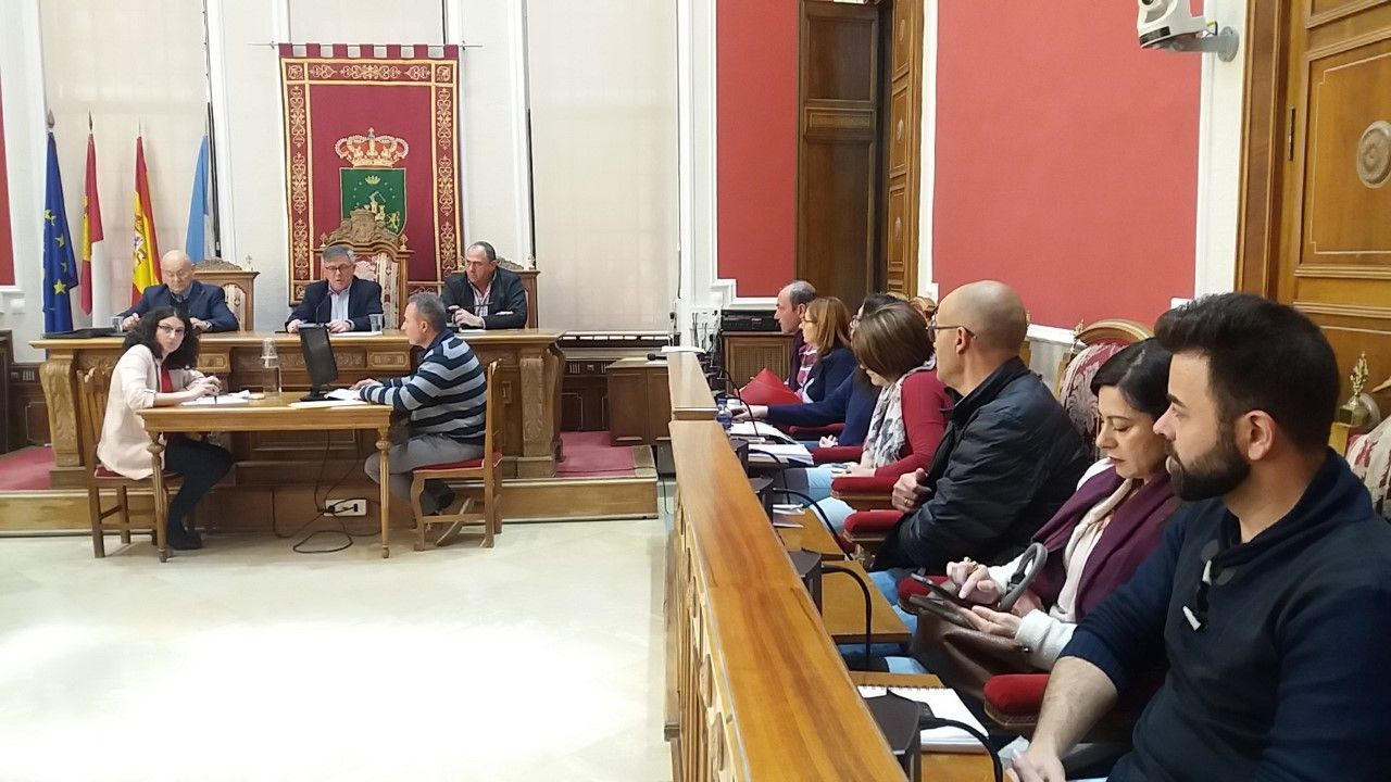 pleno marzo 2019