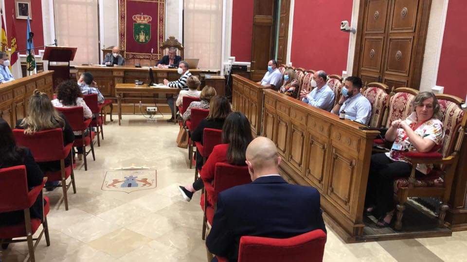 pleno mayo 2020 2