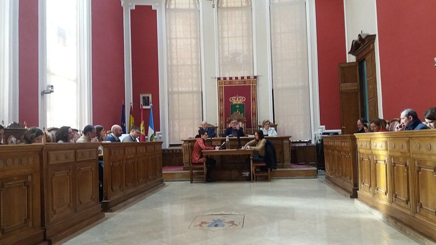 pleno mociones enero 2020