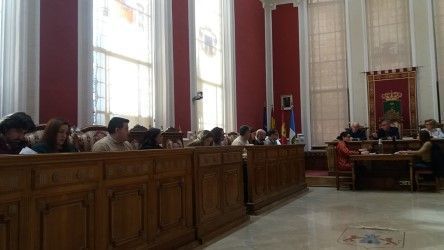 pleno pp enero 2020
