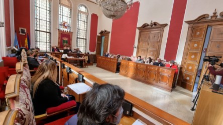 pleno presupuetsos enero 2022 2