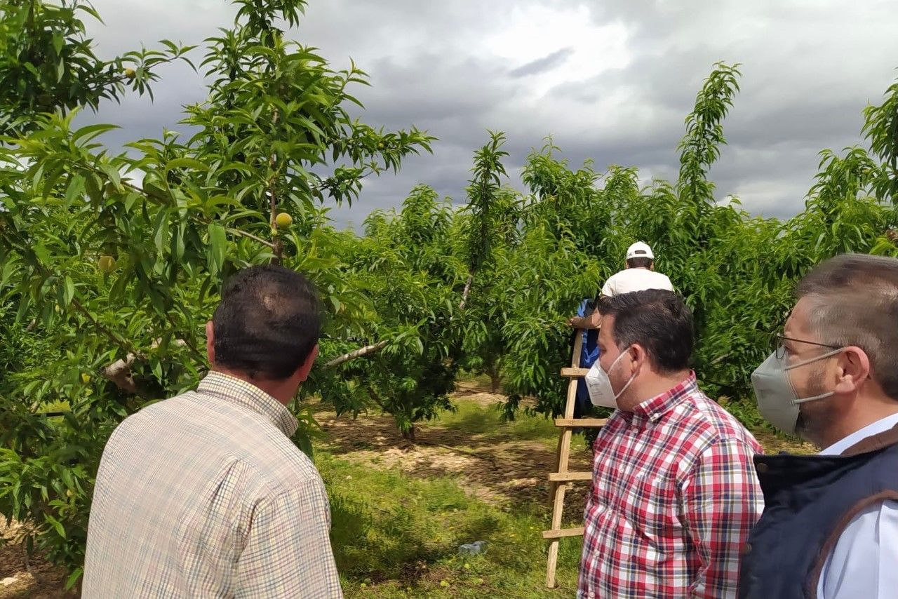 pp agricultura 2021