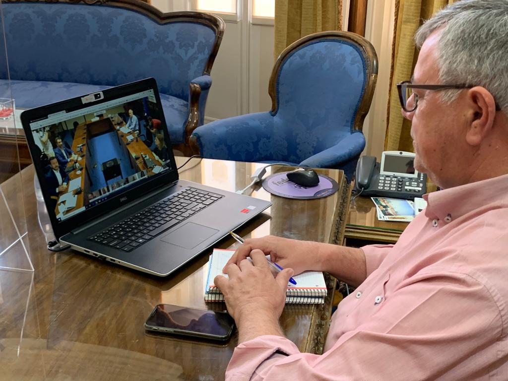 ramon videconferencia julio 2020