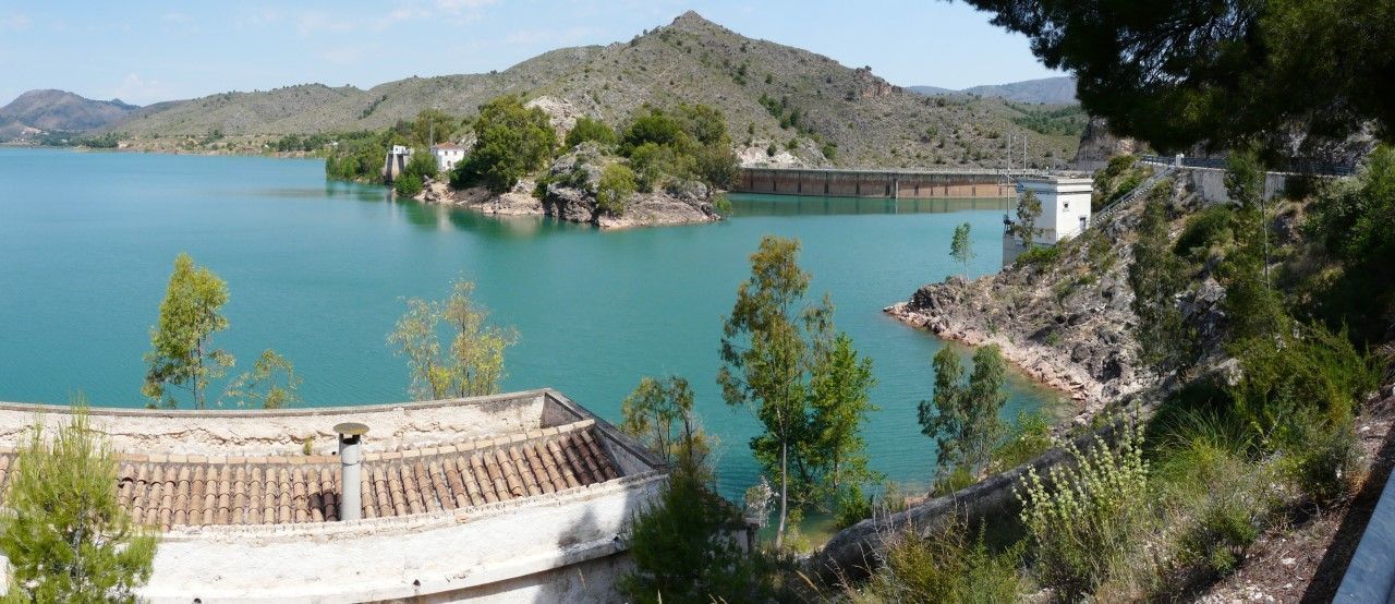 talave