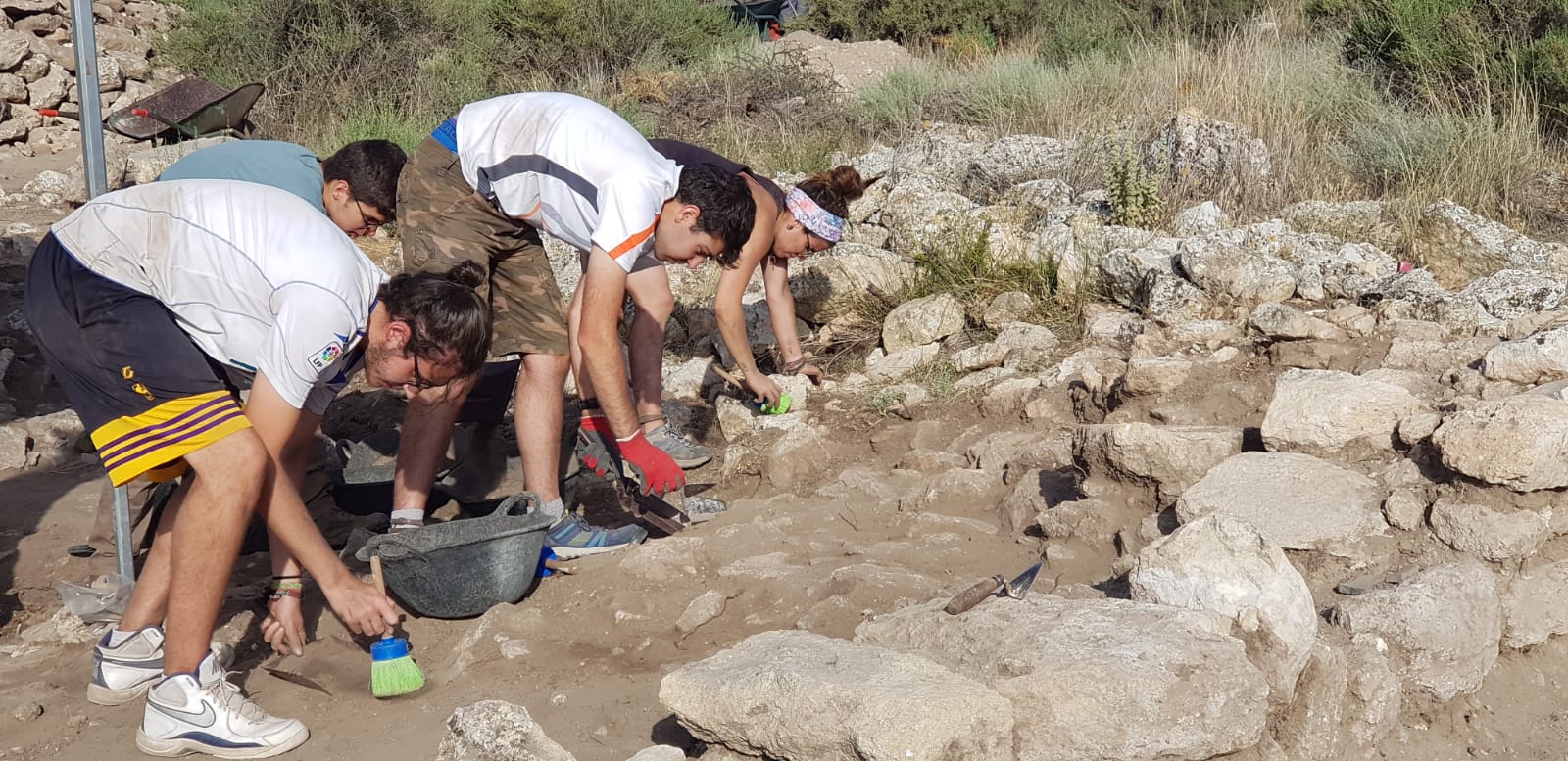 tolmo julio 2019 2
