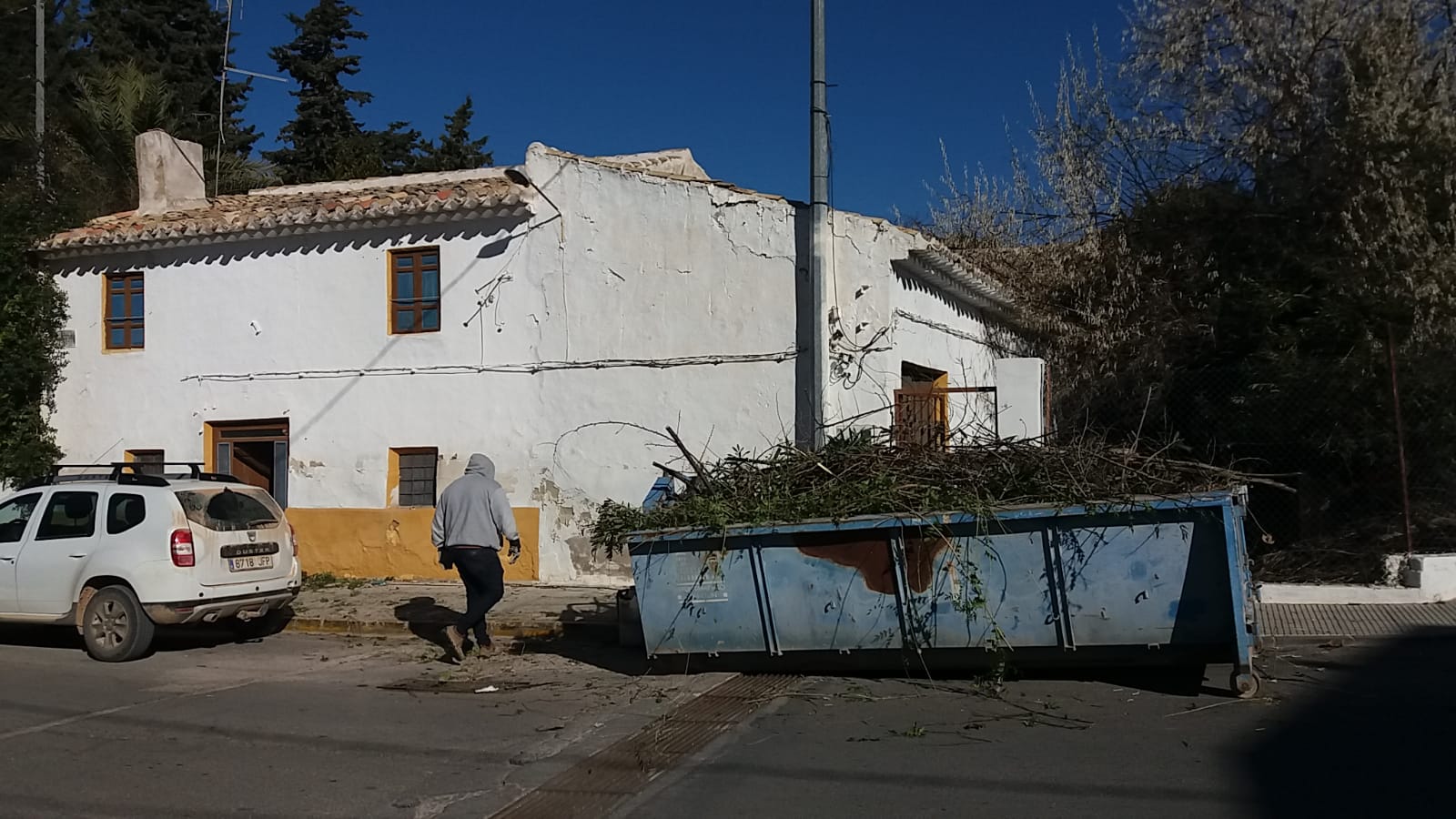 zamorano 2019